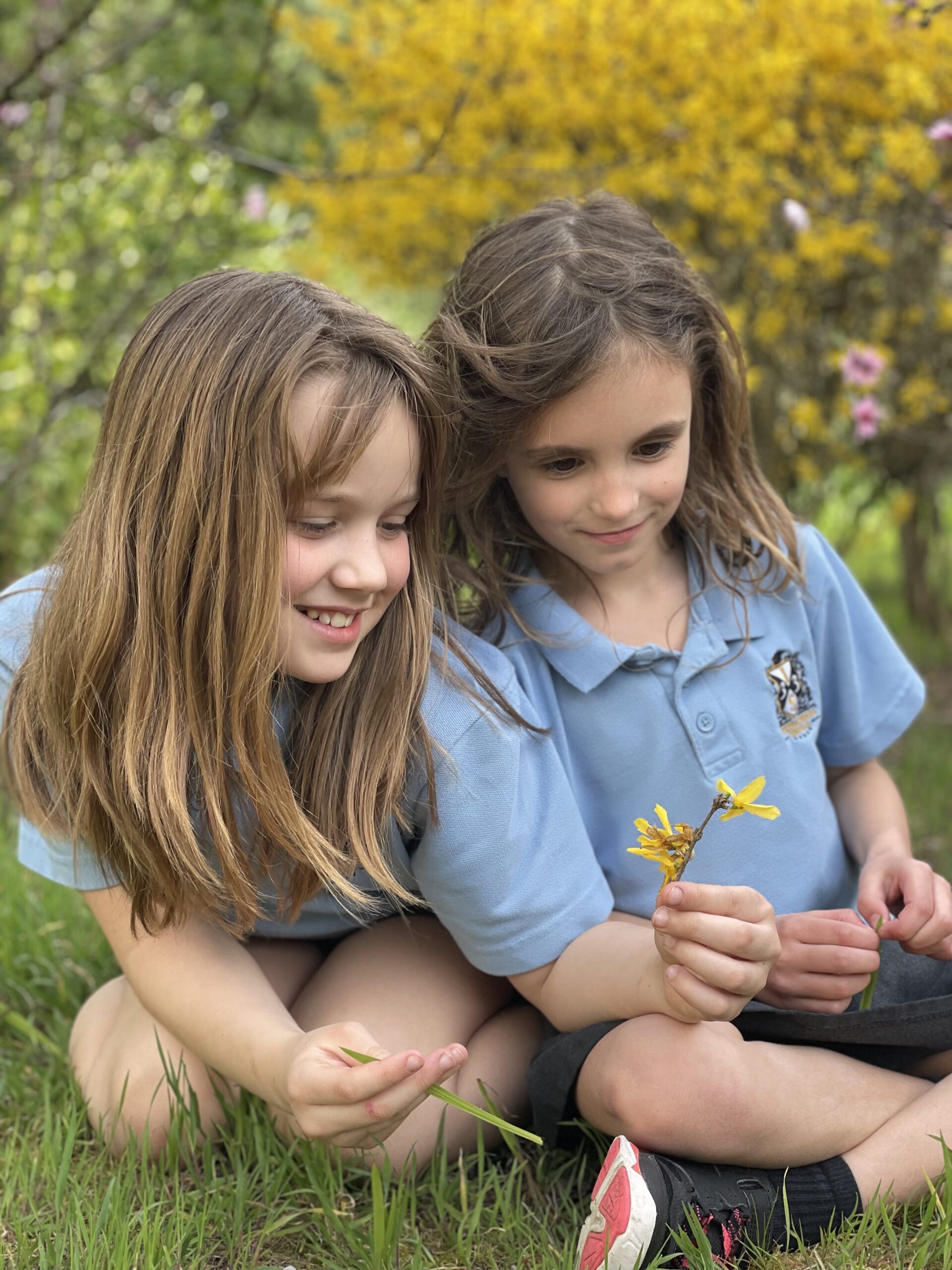 IS33 students in class - Bilingual IB pedagogy